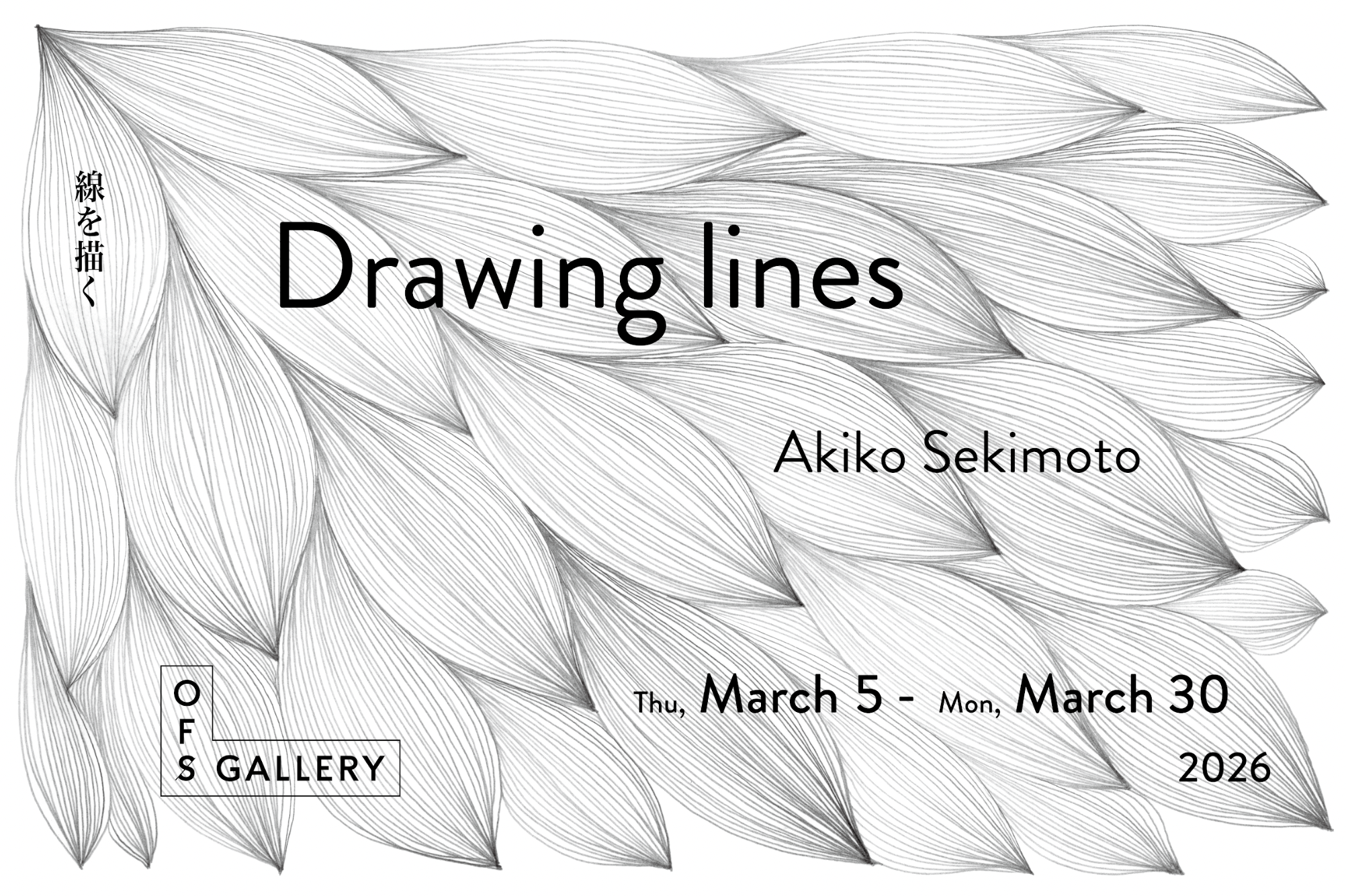 Drawing lines　線を描く